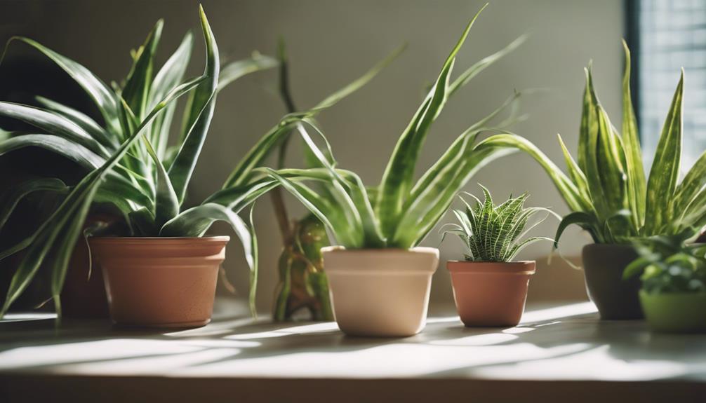 benefits of indoor plants