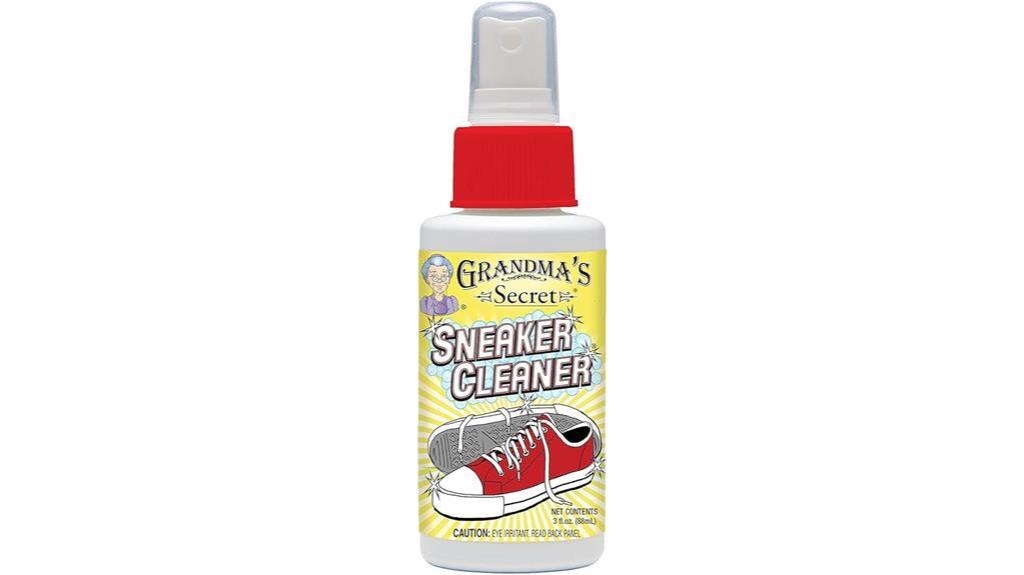 cleaning solution for shoes