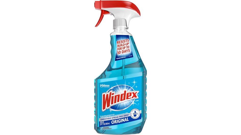 cleaning windows with windex