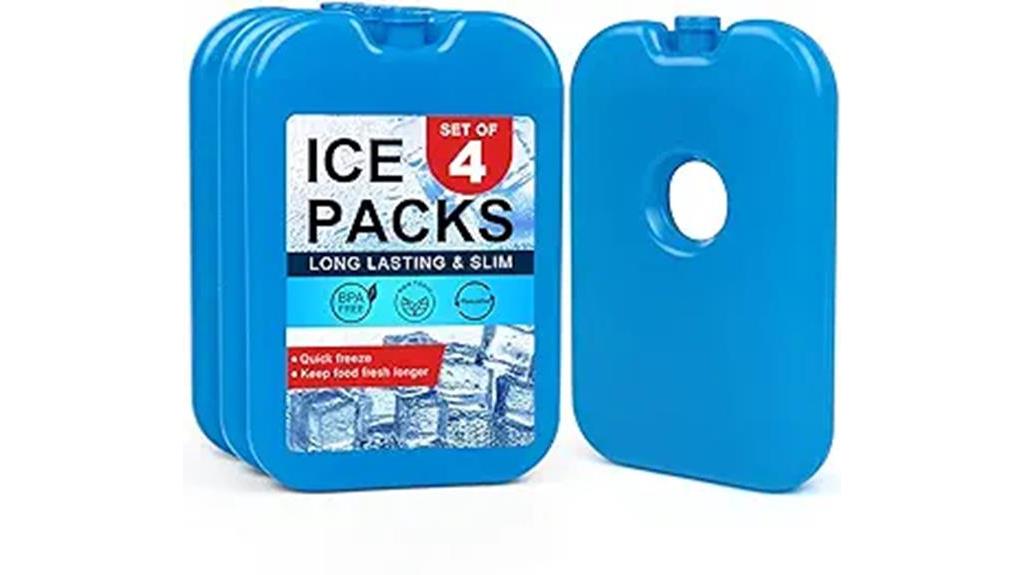 cooler and lunch ice packs