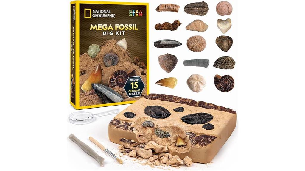 educational fossil kit for kids