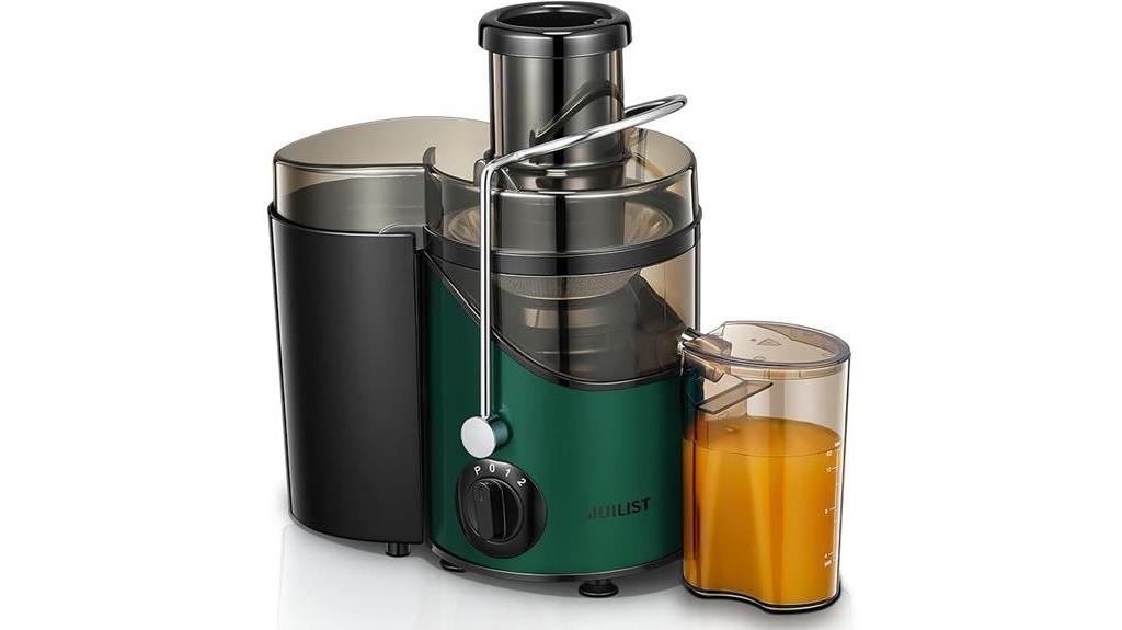 efficient juicer for fruits