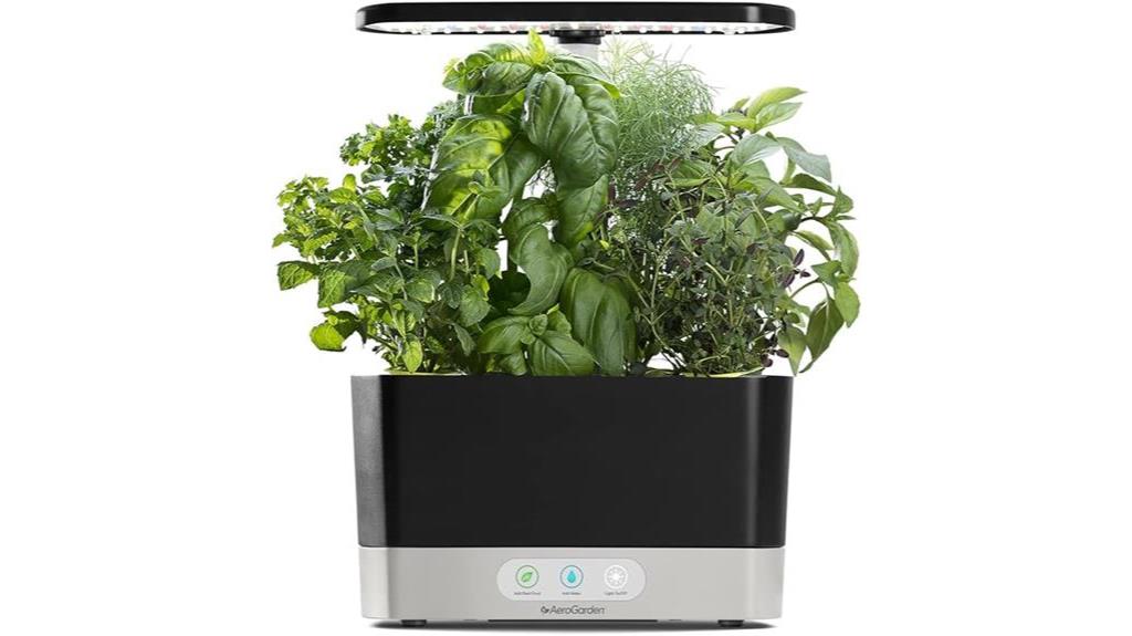 indoor gardening with herbs