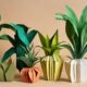 low light houseplants for you