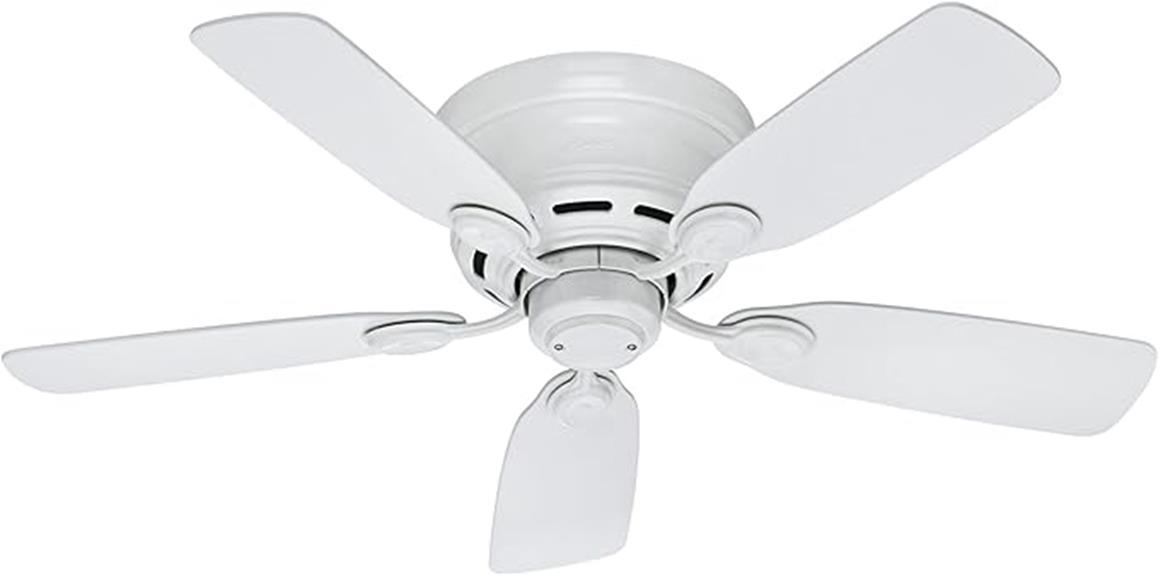 low profile ceiling fan