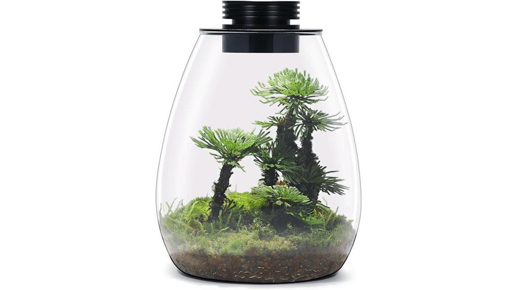 miniature desktop glass terrarium