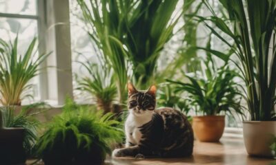 safe plants for cat friendly homes