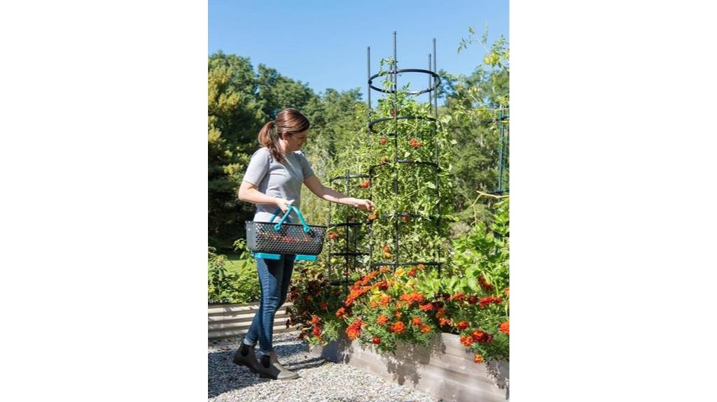 sturdy tomato cages set