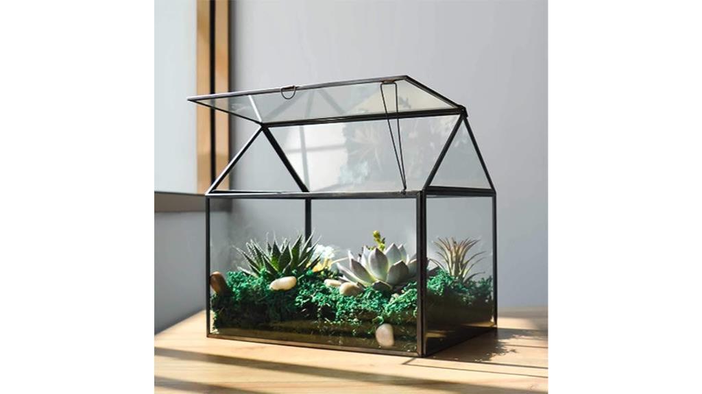 terrarium for house succulents