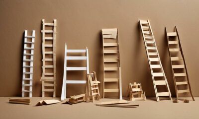 top ladder choices reviewed