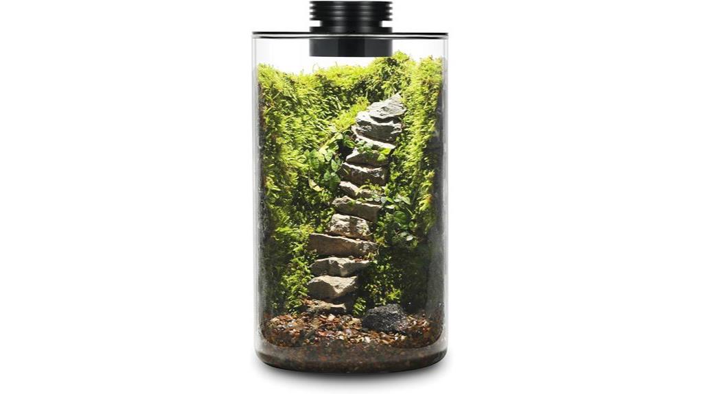 versatile desktop glass terrarium