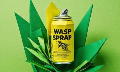 wasp spray recommendations list