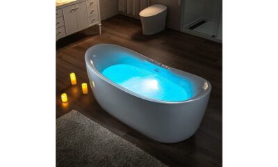bathtub model review summary