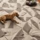 dog friendly flooring options guide