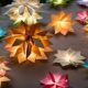 illuminate your garden beautifully