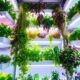 vertical farming s flavor innovation