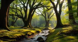 nature sounds versus silence