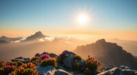 peak performance visualization scripts
