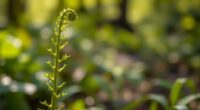 plants respond to sound