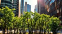pocket forests reduce urban heat