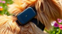 top gps pet trackers