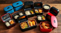 top portable meal warmers