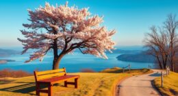 choose quality over quantity