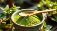 matcha s health advantages