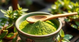 matcha s health advantages