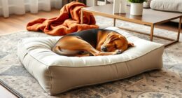 top orthopedic dog pillows