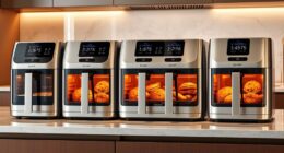 top premium air fryer ovens