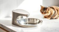 top premium cat fountains