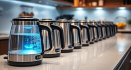 top electric kettles with settings