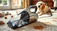 top pet carpet cleaning tools