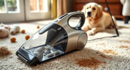 top pet carpet cleaning tools