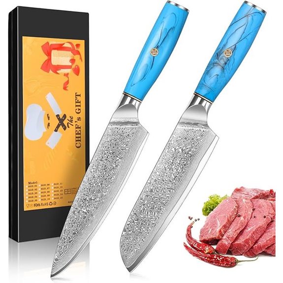 Damascus Steel Chef & Santoku Knife Set (2 Pieces)