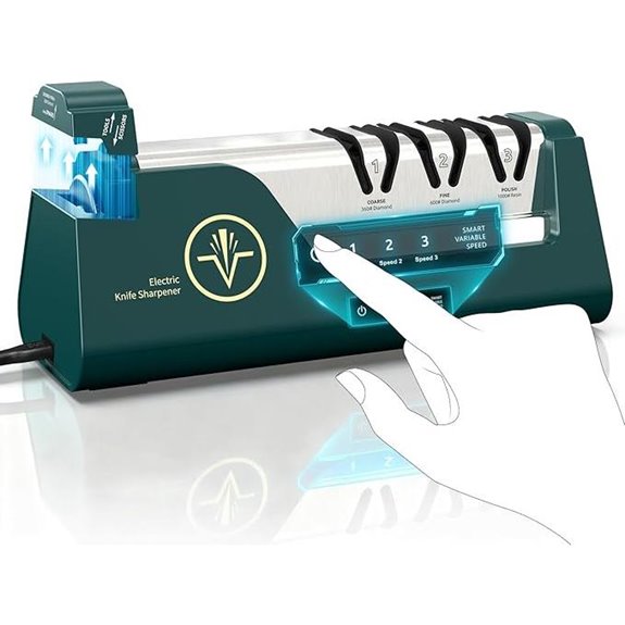 Electric Knife Sharpener with Diamond Abrasives and Guides