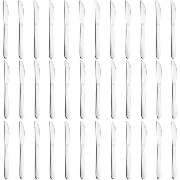 set of 36 stainless butter knives