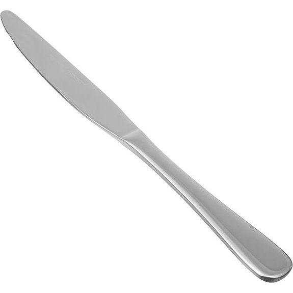 stainless steel dinner knives