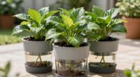 evaluating self watering suitability