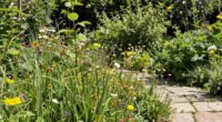 imperfection encourages biodiversity