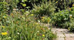 imperfection encourages biodiversity