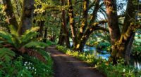 integrate local nature activities