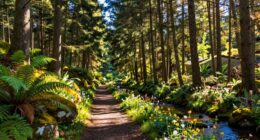 nature inspires creative thinking