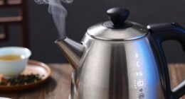 precise temperature control kettle