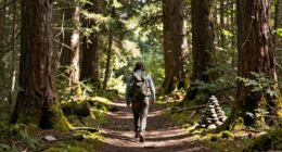 steady progress ensures sustainability