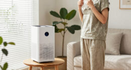 15 Best Air Purifiers For Allergy Relief In 2026