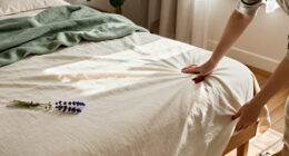 10 Best Organic Mattresses For Non Toxic Sleep – 2026